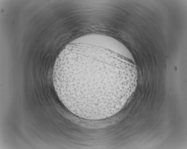 X0000064750034200603131354