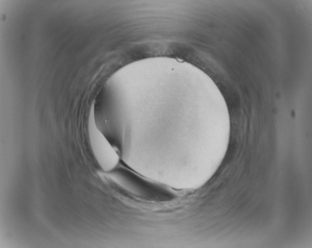 X0000064750035200603131354