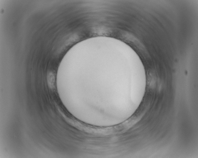 X0000064750036200603131354