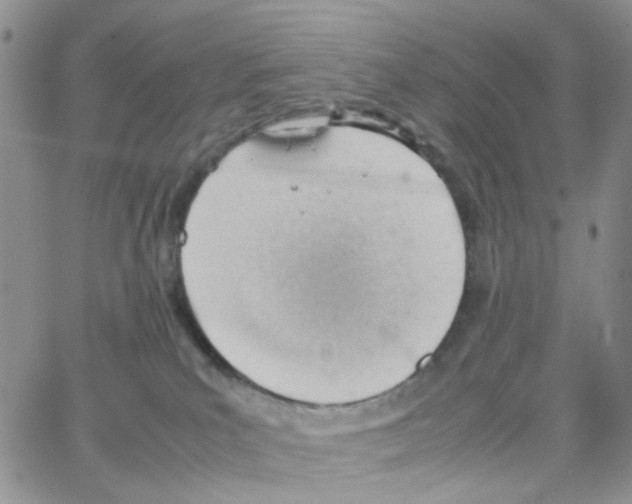 X0000064750039200603131354