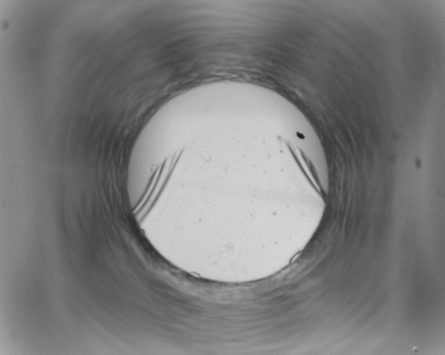 X0000064750040200603131354