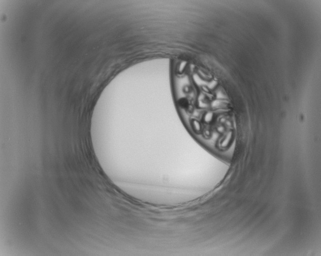 X0000064750041200603131354