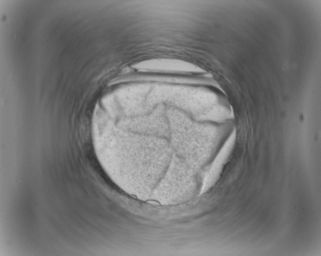 X0000064750043200603131354