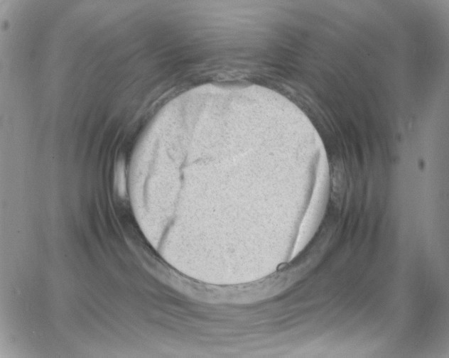 X0000064750046200603131354