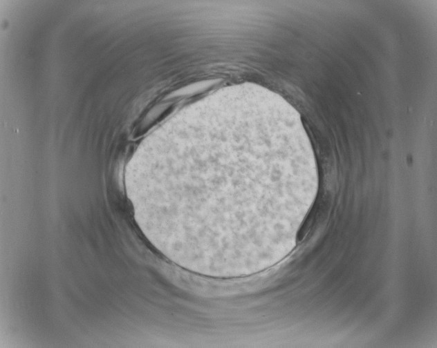 X0000064750047200603131354