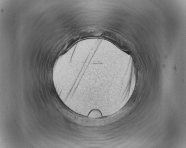 X0000064750048200603131354