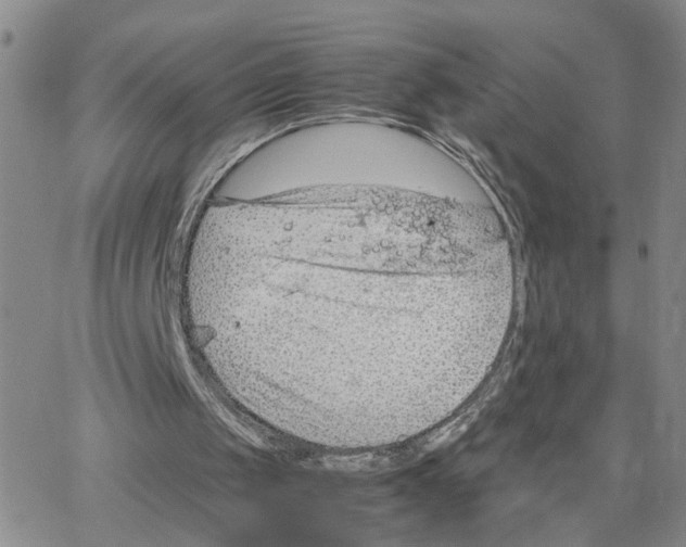 X0000064750049200603131353