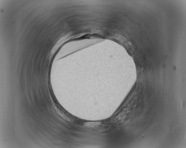 X0000064750051200603131353