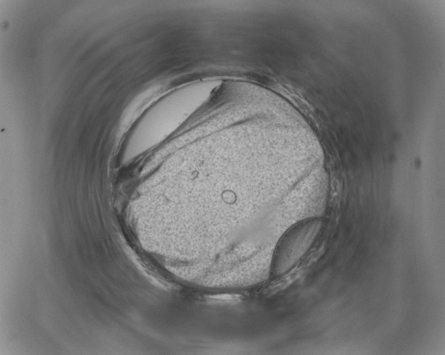 X0000064750053200603131353