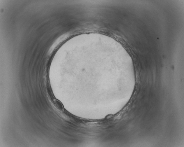 X0000064750054200603131354