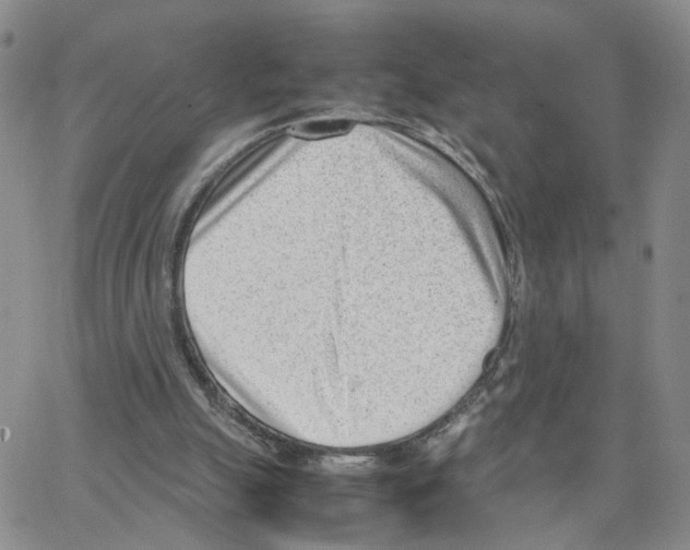 X0000064750055200603131354