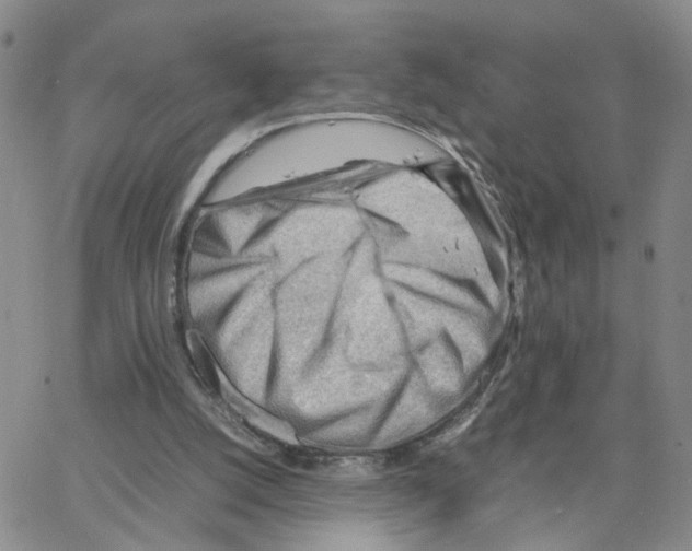 X0000064750056200603131354