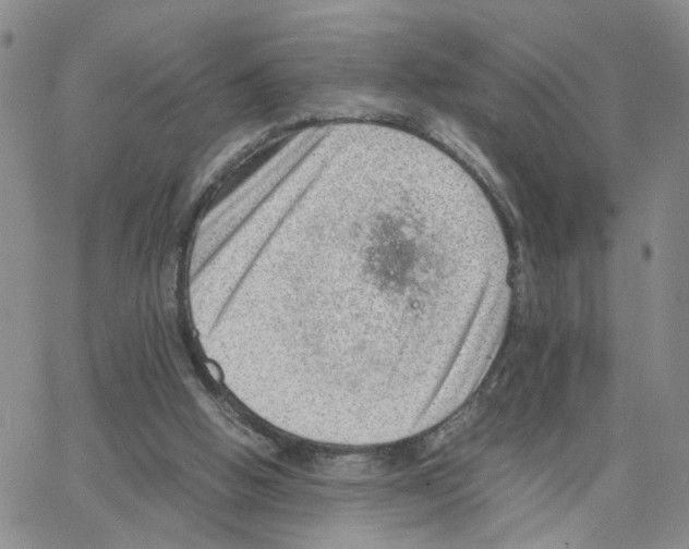 X0000064750058200603131354