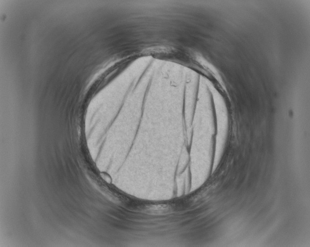 X0000064750059200603131354