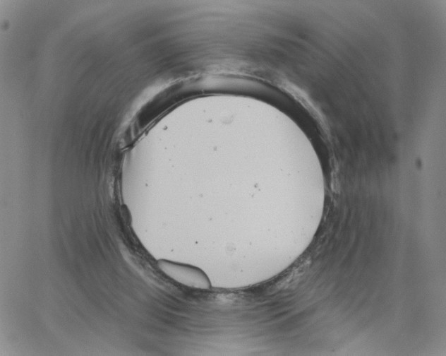 X0000064750060200603131354