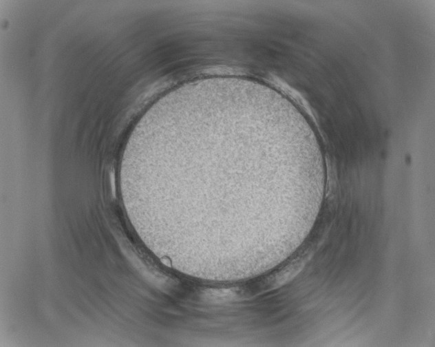 X0000064750061200603131354