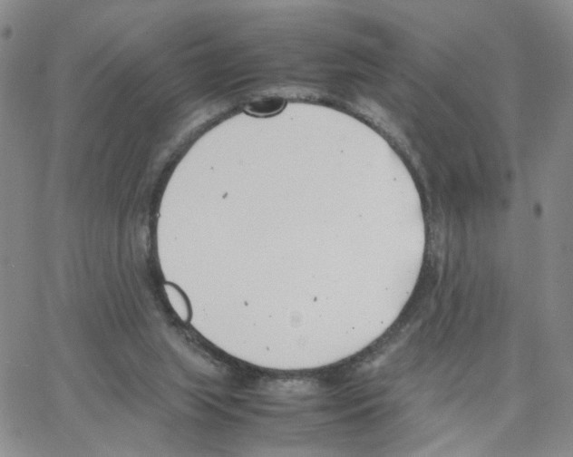 X0000064750063200603131354