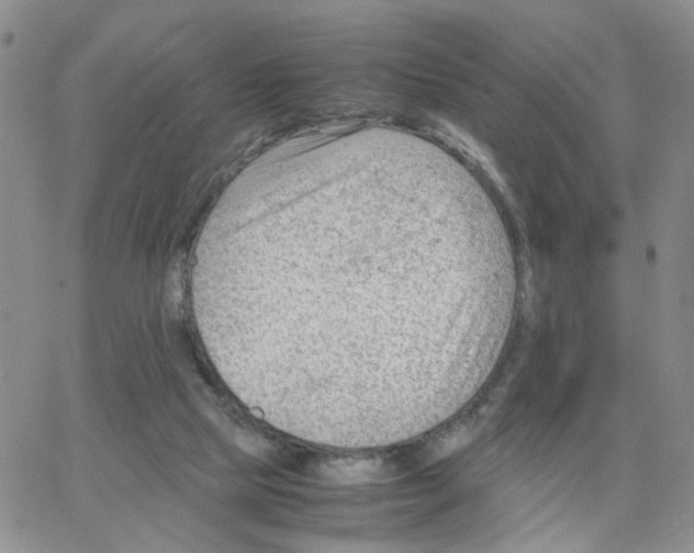 X0000064750065200603131354