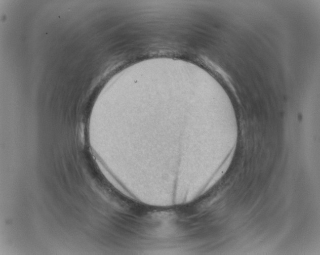 X0000064750067200603131354