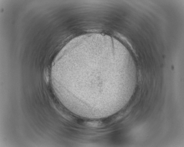 X0000064750069200603131354