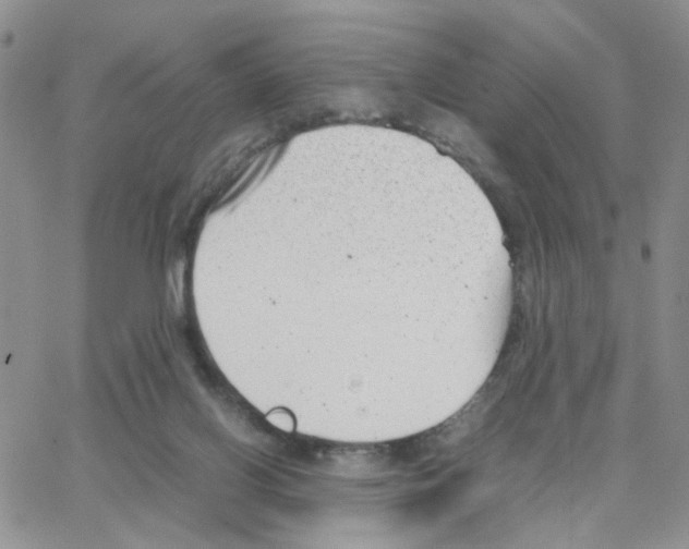 X0000064750070200603131354