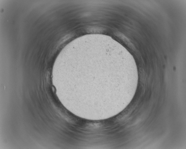 X0000064750071200603131354