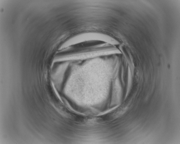 X0000064750072200603131354