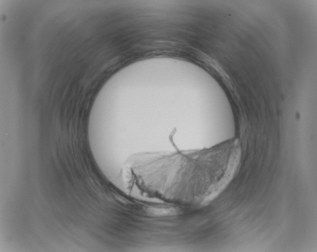 X0000064750073200603131354