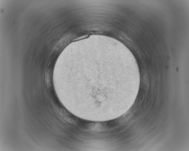 X0000064750074200603131354