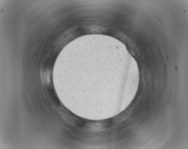 X0000064750075200603131354