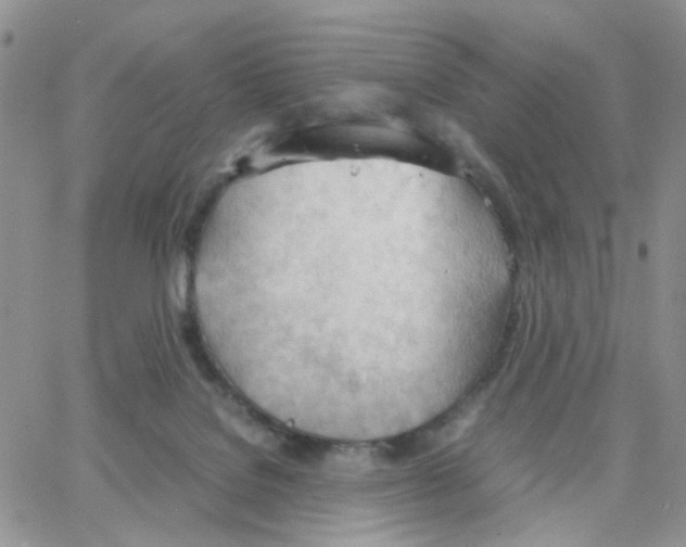 X0000064750076200603131354