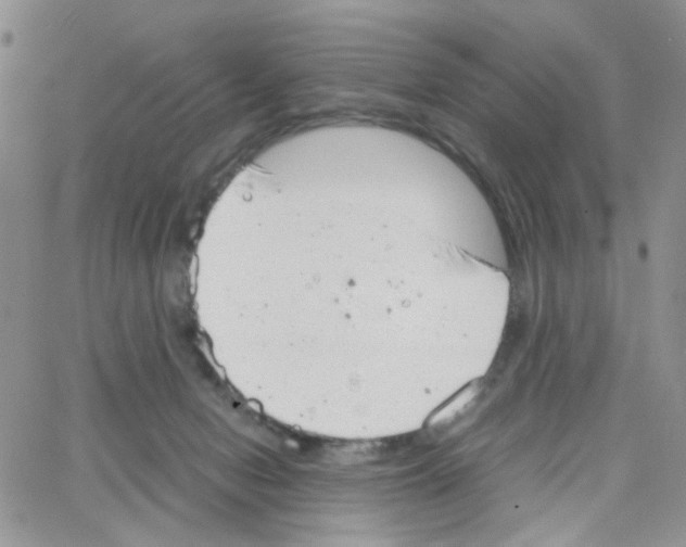 X0000064750078200603131354