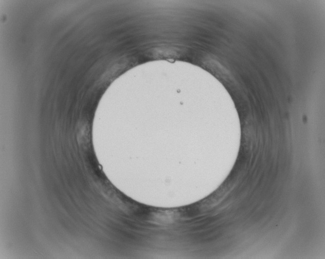 X0000064750079200603131354