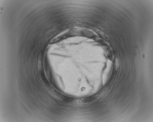 X0000064750080200603131354