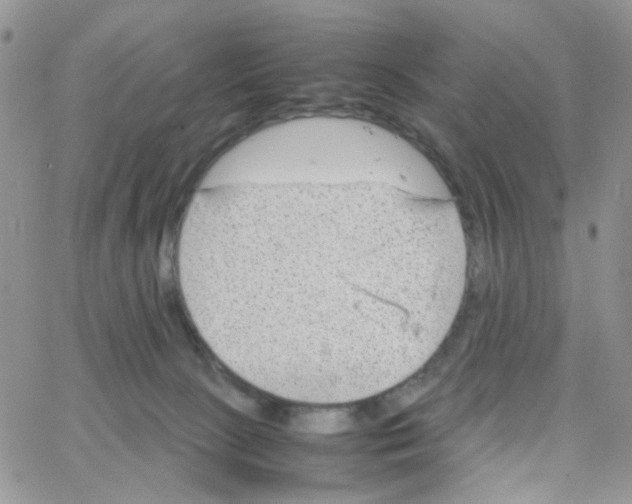 X0000064750081200603131354