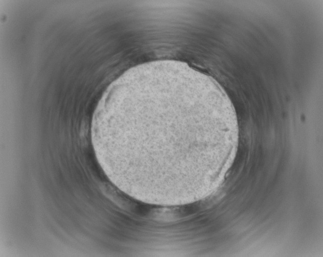 X0000064750082200603131354