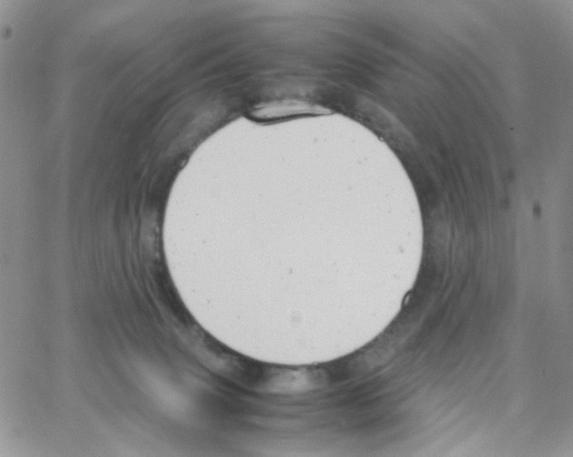 X0000064750083200603131354