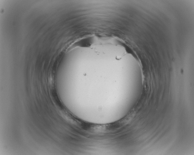 X0000064750084200603131354