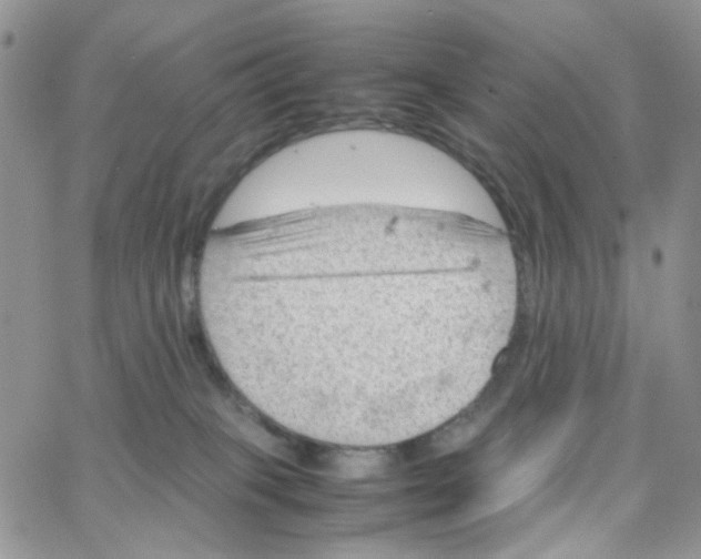 X0000064750085200603131354