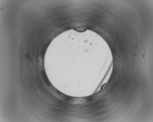 X0000064750087200603131354