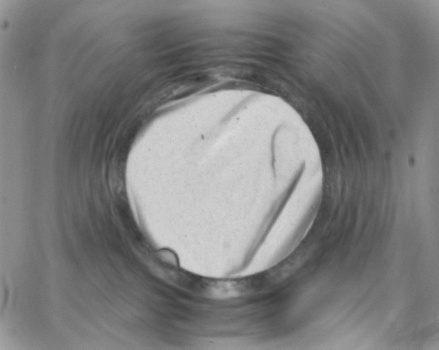 X0000064750091200603131354