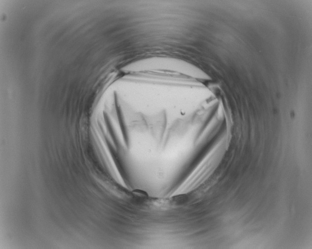 X0000064750092200603131354