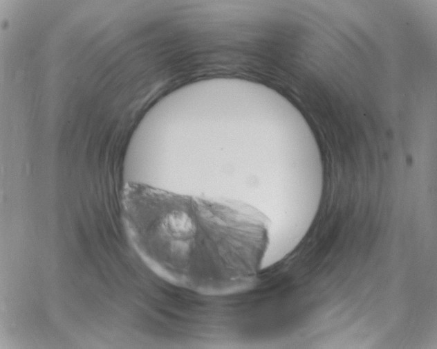 X0000064750093200603131354