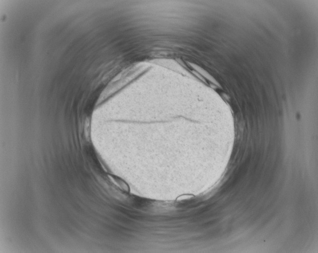 X0000064750094200603131354