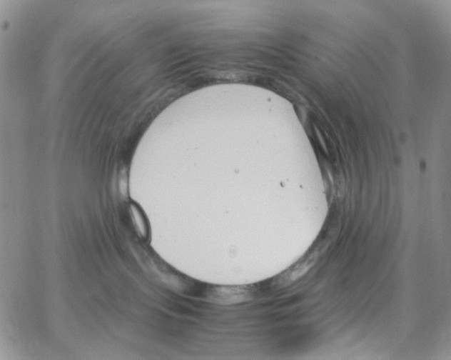 X0000064750095200603131354