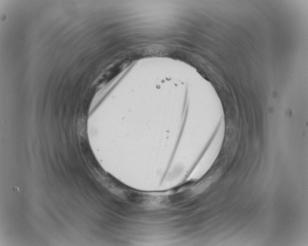 X0000064750096200603131354