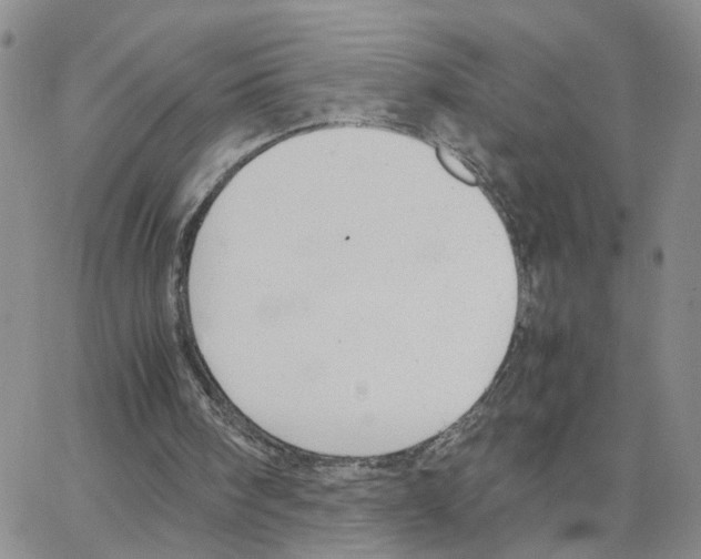 X0000064750098200603131353