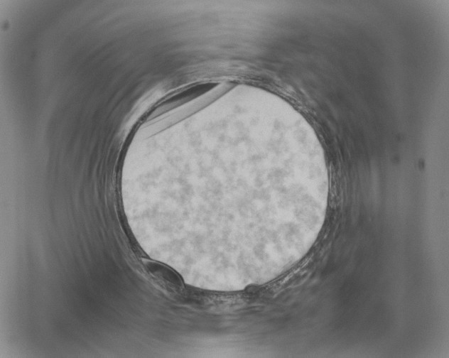 X0000064750099200603131353