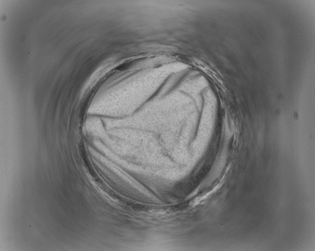 X0000064750101200603131353