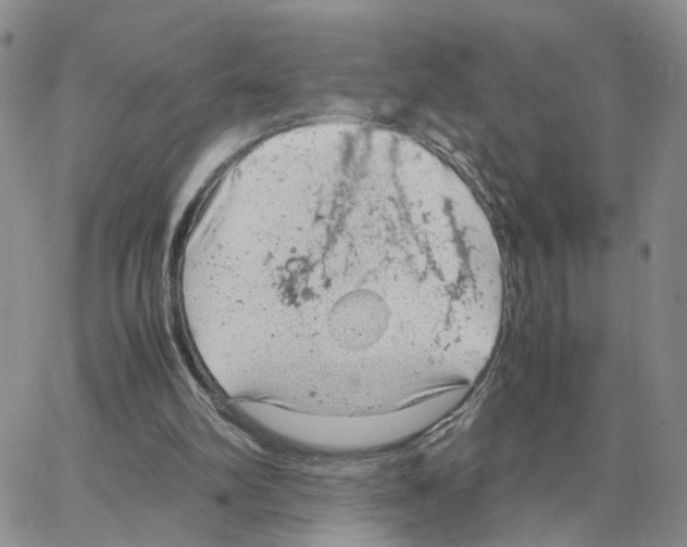 X0000064750102200603131353